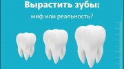 Выращивание зубов
